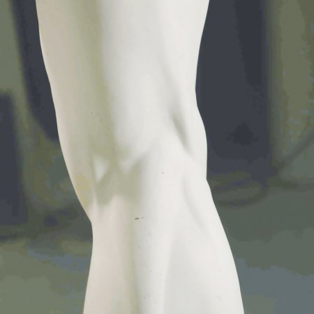 JAN HOOSS – DAVID & GOLIATH