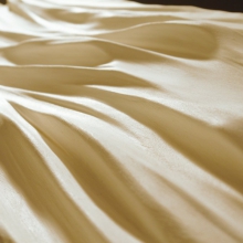 JAN HOOSS – WANDGESTALTUNG