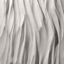 JAN HOOSS - WANDGESTALTUNG