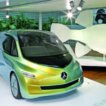 JAN HOOSS – KOFFERFISCH