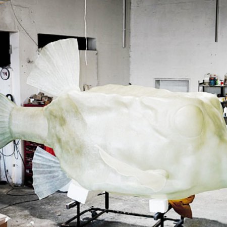 JAN HOOSS – KOFFERFISCH