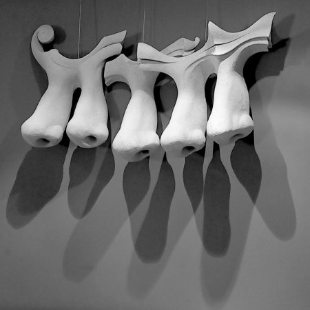 JAN HOOSS – NASENFRIES