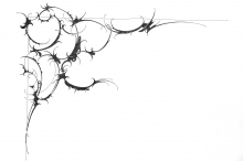 JAN HOOSS – ZEICHNUNG / STUCK: Ornamente